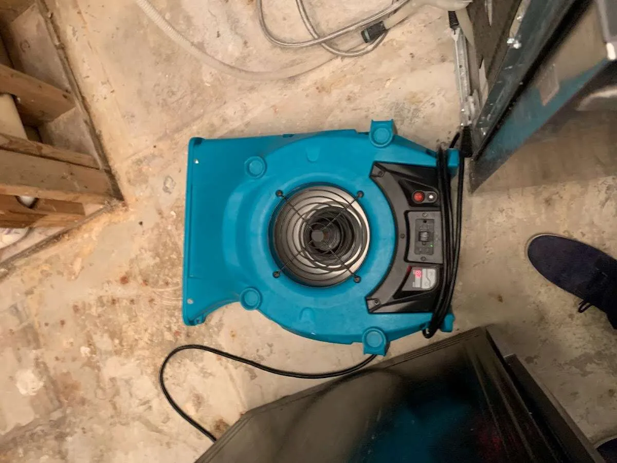 Air mover drying equipment for Mold Remediation & Removal in Aurora